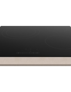 PLACA VITROCERAMIRA DE 60cm... 2