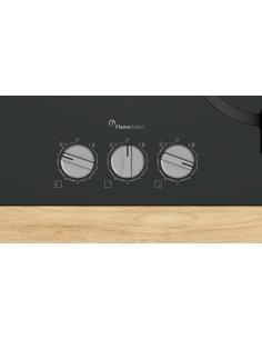 PLACA DE GAS 3 FGOS. EN... 2