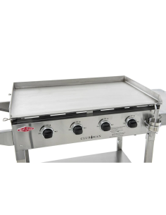 BARBACOA A GAS CARRO PLANCA... 2