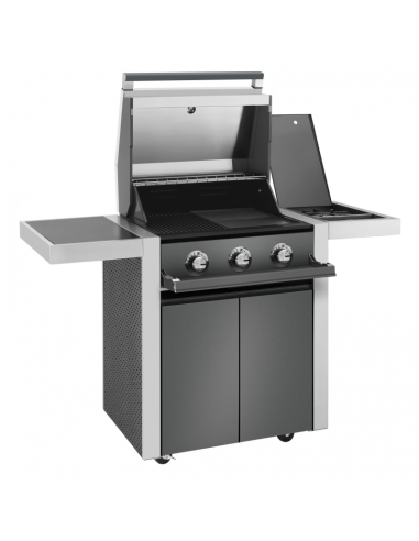 BARBACOA A GAS CON CARRO DISCOVERY...