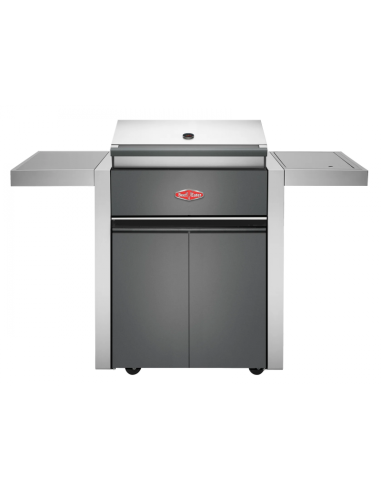 BARBACOA A GAS CON CARRO DISCOVERY...