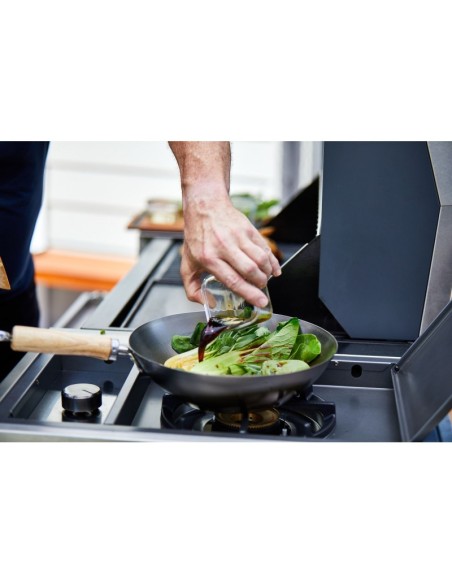 BARBACOA A GAS CON CARRO DISCOVERY 1700 3B