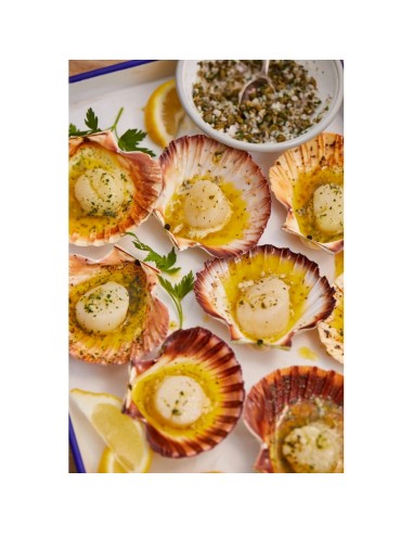 BARBACOA A GAS CON CARRO DISCOVERY...