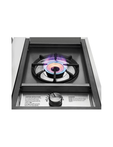 BARBACOA A GAS CON CARRO DISCOVERY...