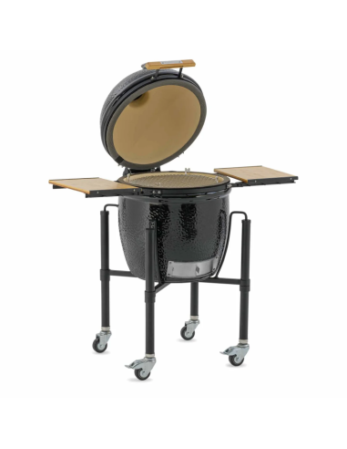 MONOLITH ONE.66 CON CARRO Y MESA 55cm