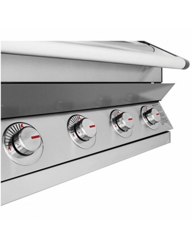 BARBACOA CON CARRO DISCOVERY 1600S 3B...