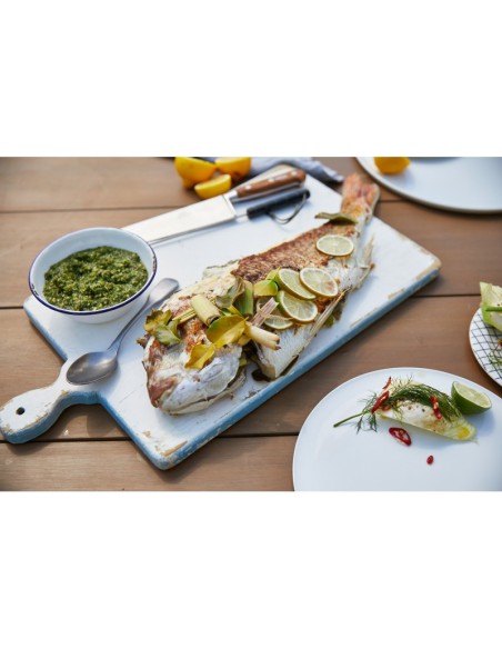 BARBACOA CON CARRO DISCOVERY 1600S 4B INOX
