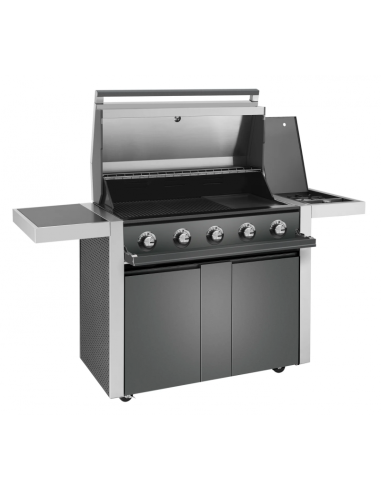 BARBACOA GAS CARRO DISCOVERY 1700 5B