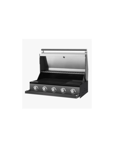 BARBACOA GAS CARRO DISCOVERY 1700 5B