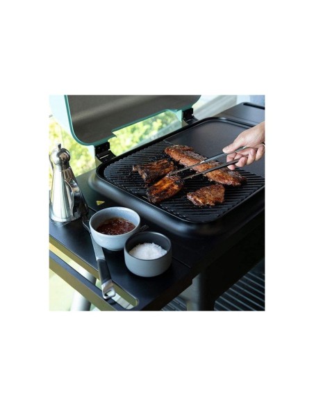 BARBACOA DE GAS FORCE NEGRO MATE