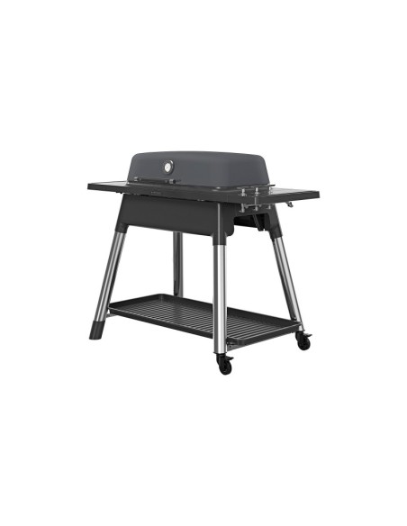 BARBACOA DE GAS FURNACE GRAFITO MATE