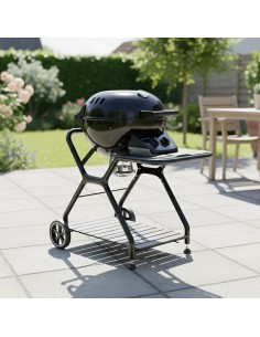 BARBACOA GAS CARRO ASCONA...