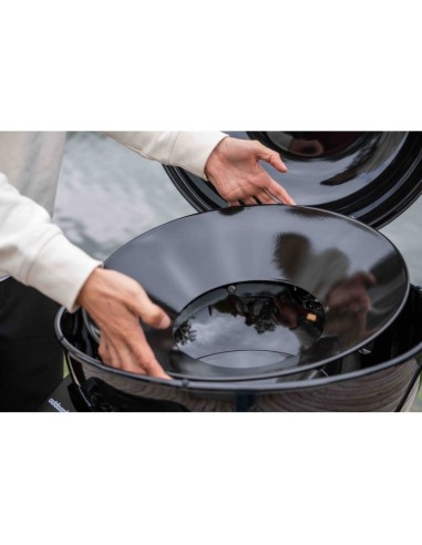 BARBACOA GAS CARRO ASCONA 570 G EVO...