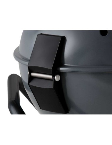 BARBACOA GAS CARRO ASCONA 570 G EVO...