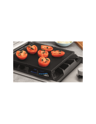 HORNILLO ENCASTRABLE PROLINE® HORNILLO ENCASTRABLE PROLINE®