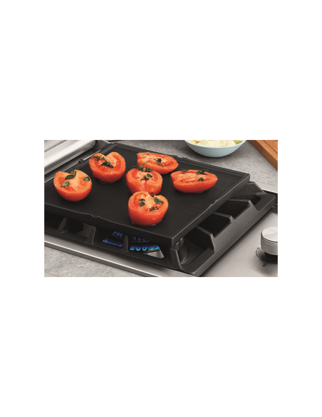 HORNILLO ENCASTRABLE PROLINE®