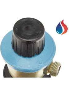 Sanfor Regulador Bombona Gas butano de 12 kg de uso doméstico | Homologado  (UNE-EN12864) | Color Plateado | Talla única