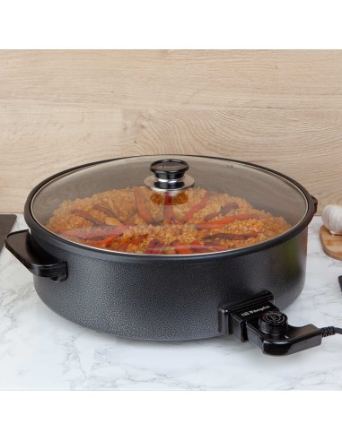 OLLA PAELLERA MODELO PZ 8100 ORBEGOZO OLLA PAELLERA MODELO PZ 8100 ORBEGOZO