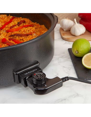 OLLA PAELLERA MODELO PZ 8100 ORBEGOZO OLLA PAELLERA MODELO PZ 8100 ORBEGOZO