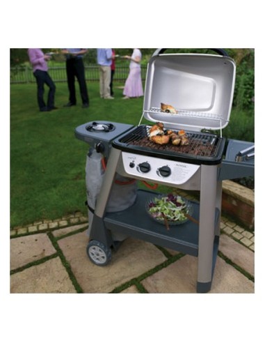 BARBACOA A GAS MODELO EXCEL 300