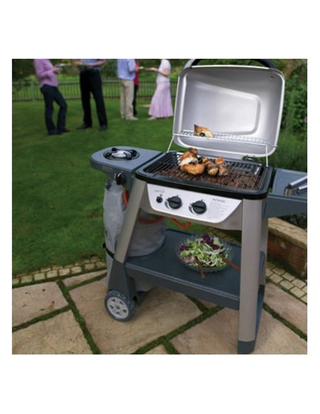 BARBACOA A GAS MODELO EXCEL 300