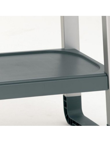 BARBACOA A GAS MODELO EXCEL 300