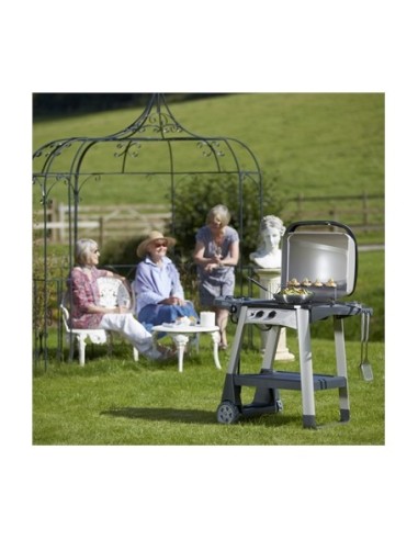 BARBACOA A GAS MODELO EXCEL 300