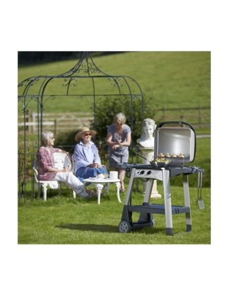 BARBACOA A GAS MODELO EXCEL 300