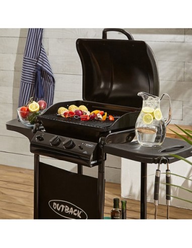 BARBACOA A GAS MODELO OMEGA 250