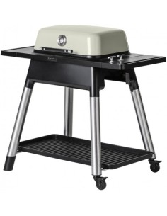 BARBACOA A GAS FORCE PIEDRA 2