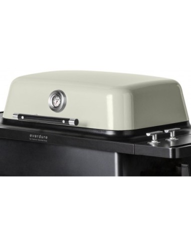 BARBACOA A GAS FORCE PIEDRA