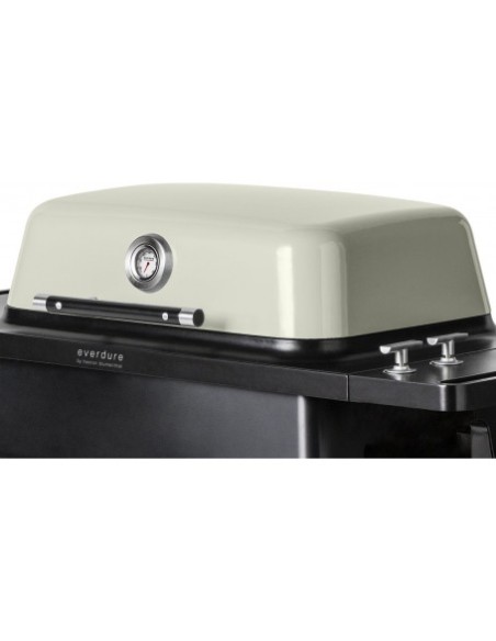 BARBACOA A GAS FORCE PIEDRA