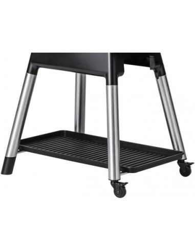 BARBACOA A GAS FORCE PIEDRA