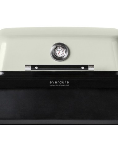 BARBACOA A GAS FORCE PIEDRA