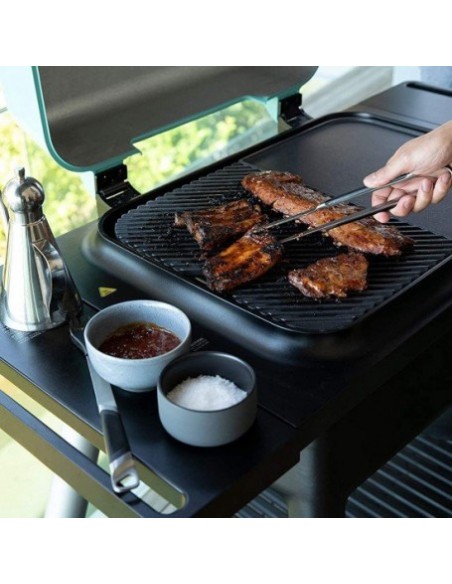 BARBACOA A GAS FORCE PIEDRA