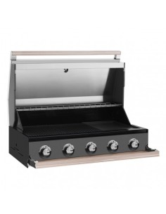 BARBACOA ENCASTRABLE... 2