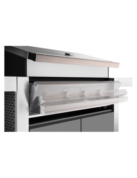 BARBACOA ENCASTRABLE DISCOVERY 1500 5B