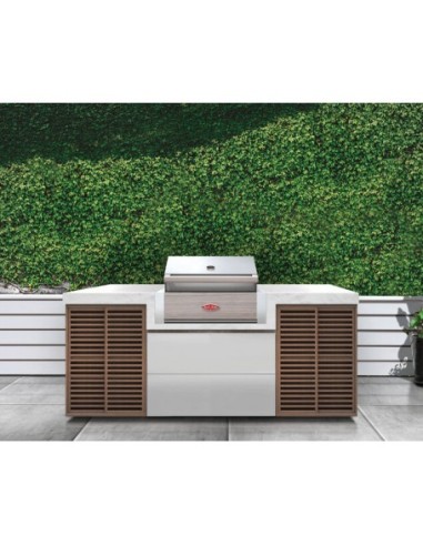 BARBACOA ENCASTRABLE DISCOVERY 1500 5B BARBACOA ENCASTRABLE DISCOVERY 1500 5B