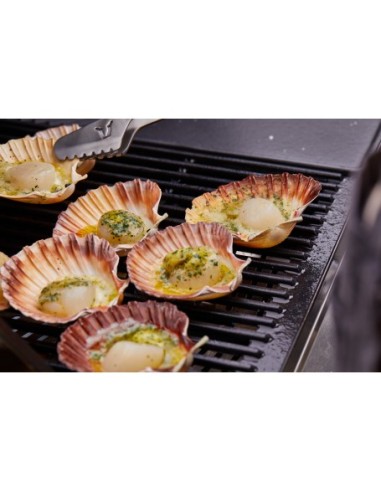 BARBACOA ENCASTRABLE DISCOVERY 1200E 5B BARBACOA ENCASTRABLE DISCOVERY 1200E 5B