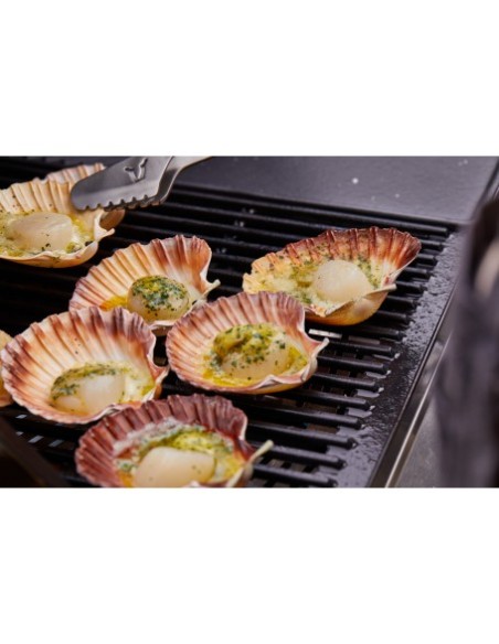 BARBACOA ENCASTRABLE DISCOVERY 1200E 5B