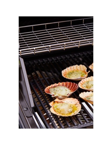 BARBACOA ENCASTRABLE DISCOVERY 1200E 5B