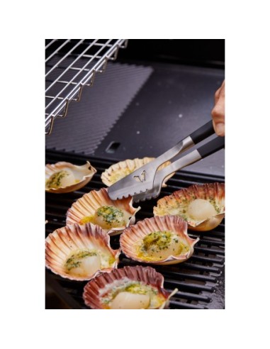 BARBACOA ENCASTRABLE DISCOVERY 1200E 5B BARBACOA ENCASTRABLE DISCOVERY 1200E 5B