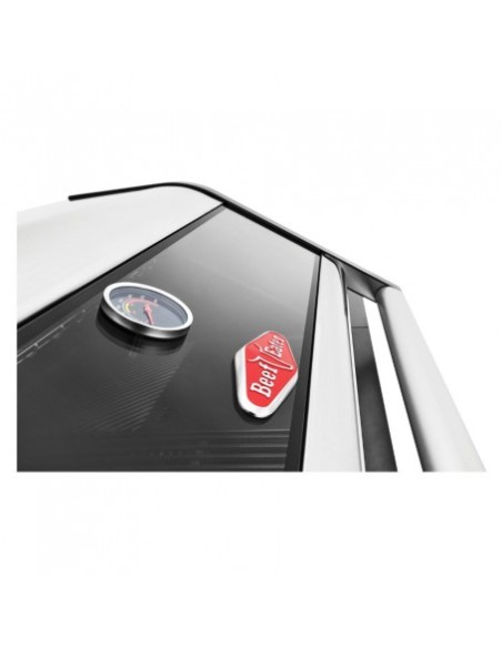 BARBACOA ENCASTRABLE DISCOVERY 1600E 4B GRAFITO