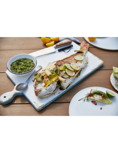 BARBACOA ENCASTRABLE DISCOVERY 1600E 4B GRAFITO