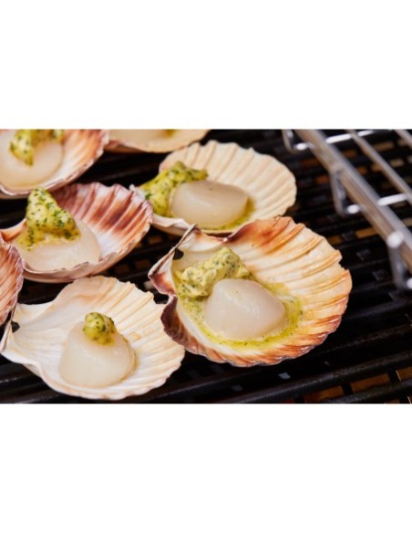 BARBACOA ENCASTRABLE DISCOVERY 1200E 4B