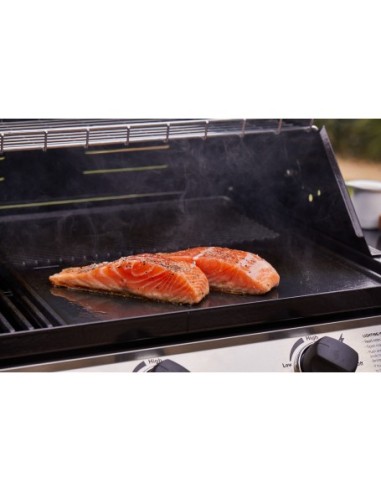 BARBACOA ENCASTRABLE DISCOVERY 1200E 4B BARBACOA ENCASTRABLE DISCOVERY 1200E 4B