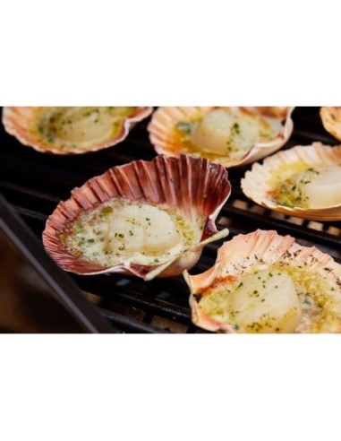 BARBACOA ENCASTRABLE DISCOVERY 1200E 3B BARBACOA ENCASTRABLE DISCOVERY 1200E 3B