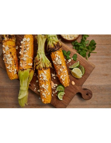 BARBACOA ENCASTRABLE DISCOVERY 1200S 5B BARBACOA ENCASTRABLE DISCOVERY 1200S 5B