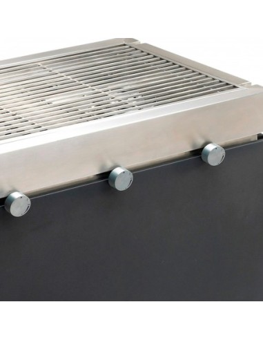 BARBACOA A GAS HEAT 3 INOX BARBACOA A GAS HEAT 3 INOX