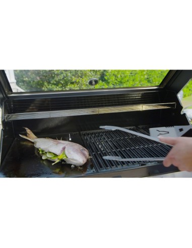 BARBACOA GAS CARRO SIGNATURE S2000 C 5B BARBACOA GAS CARRO SIGNATURE S2000 C 5B